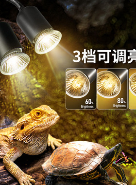 乌龟晒背太阳灯全光谱爬宠uva+uvb取暖加热保温宠物水族鱼缸灯