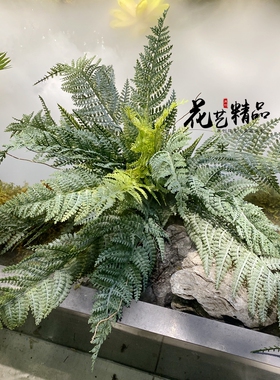 铁线蕨波斯草排草植物墙配材插花装饰山草仿真草波士顿蕨羊齿蕨草