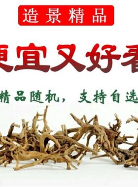天然沉木杜鹃根精品栖根鱼缸水草缸雨林缸树枝树根造景微景观素材