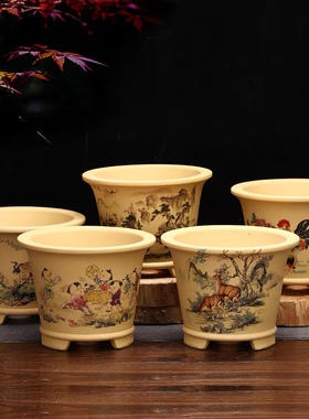 精品紫砂花盆小多肉盆文竹菖蒲金弹子盆栽盆矮君子兰花盆陶瓷特价