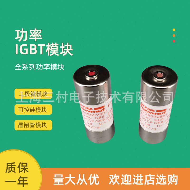 全新熔断器保险丝D221447/FR27GB80V100T E221448/FR27GB80V110T
