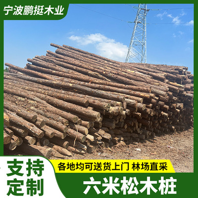 六米松木桩防汛围堰驳岸打桩