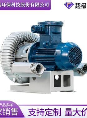 防爆高压鼓风机防爆等级DIIBT4/DIICT4工业高压漩涡气泵现货