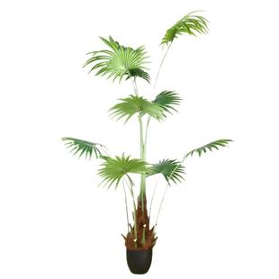 广州高端手感叶加州葵盘栽仿真蒲葵超真大型盘景唐棕葵扇葵