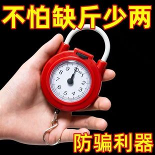 弹簧秤家用便携式多功能10kg手提秤买菜秤口袋秤迷你手提弹簧秤