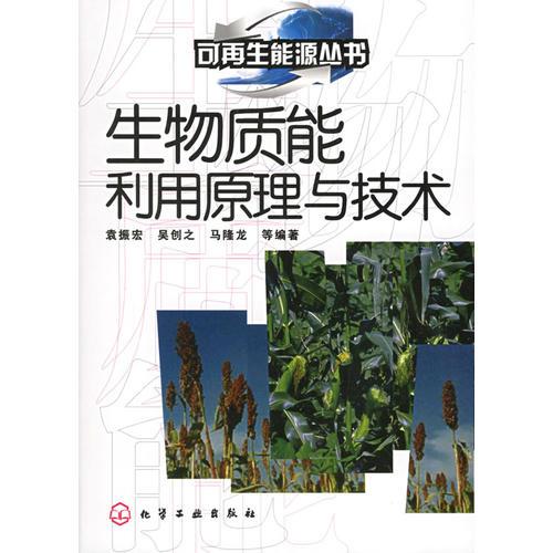 正版9新生物质能利用原理与技术马隆龙 编；袁振宏；吴创之9787502563103
