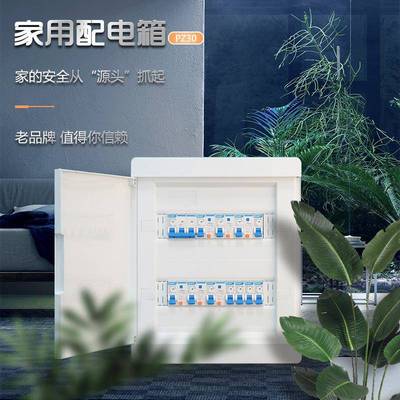 家用成套配电箱PZ30电箱明装暗装漏电保护器M成品空开盒强电控箱