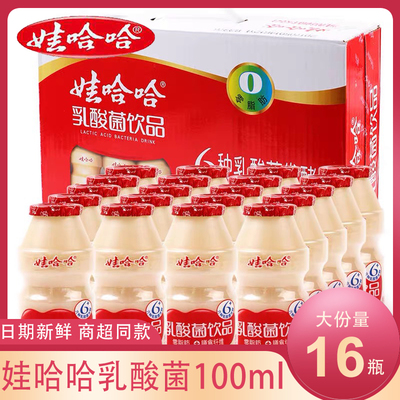 娃哈哈乳酸菌100ml*16瓶