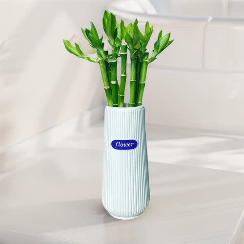 开运竹富贵竹水培植物客厅办公室桌面绿植花卉盆栽四季常青好养活