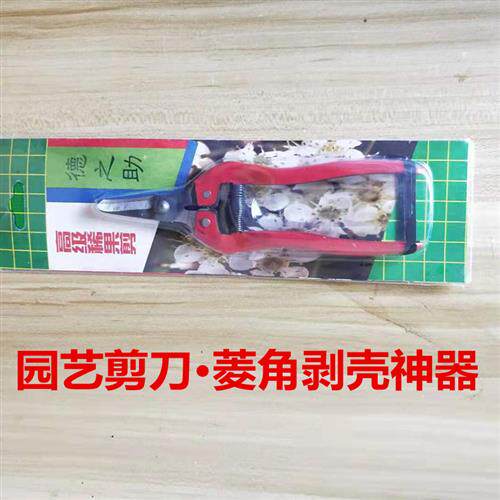 剥菱角剪刀剥壳器加厚剥生熟菱角皮工具板栗钳子老菱角手工剥皮用