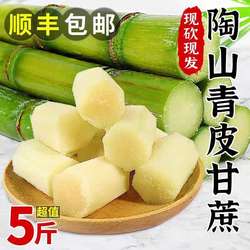 【下单立减50】正宗陶山甘蔗青皮无节独立包装脆绿皮新鲜应季水果