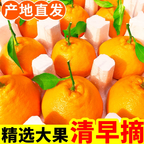 【下单立减50】（果大更甜）正宗四川春见耙耙柑新鲜水果多汁爽口,水产肉类/新鲜蔬果/熟食,桔子,淘宝优惠券,粉丝福利购,淘宝优惠卷