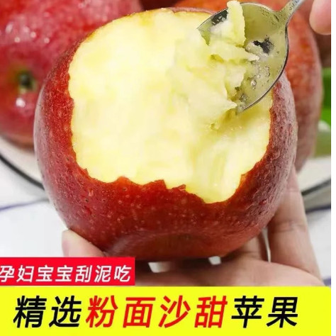 【下单立减50】秦冠苹果粉面沙甜苹果新鲜水果宝宝老人皆宜粉糯