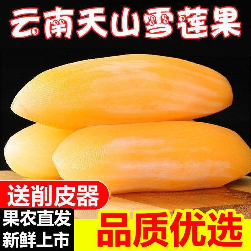 【下单立减50】云南天山雪莲果清甜脆爽多汁黄心新鲜应季现摘水果,水产肉类/新鲜蔬果/熟食,其它,淘宝优惠券,粉丝福利购,淘宝优惠卷