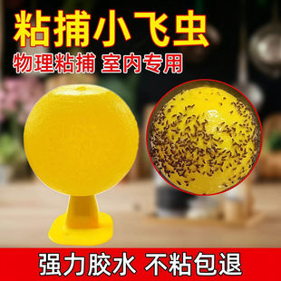 果蝇诱捕器小飞虫灭杀神器室内去除蚊虫粘捕厨房蠓虫粘虫球诱苍蝇