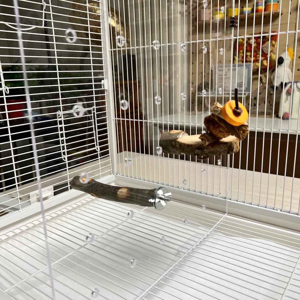 达洋B6001分隔板鸟笼隔板鸟笼中间隔板达洋鸟笼挡板亚克力透明板