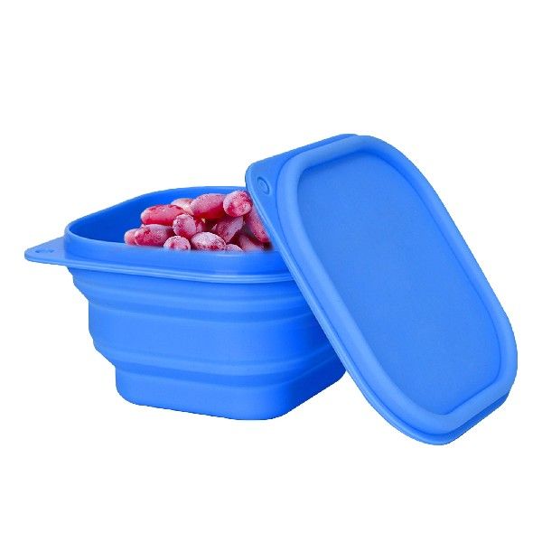 Collapsible Silicone Bowl Round Bowl With Lid for Travel