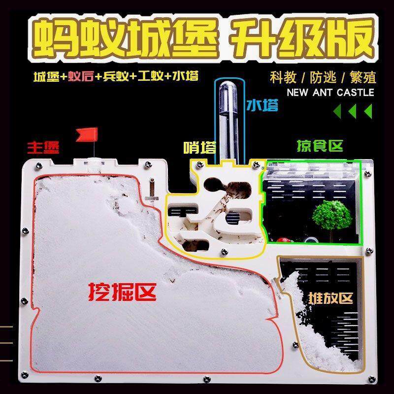 蚂蚁城堡超大蚂蚁生态箱王国别墅庄园对战蚂蚁工坊巢穴观察送蚁后
