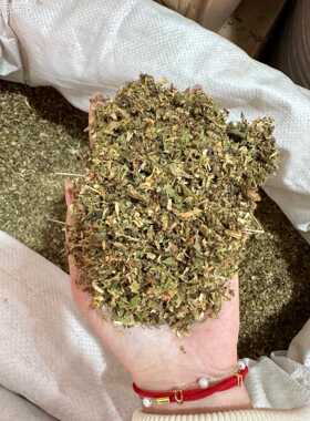 河封丘花散装金 金银银花 南一手货源支持药IBT检量大从优