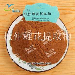 杜仲雄花提取物 杜仲雄花粉 比例萃取 现货销售 质量保证