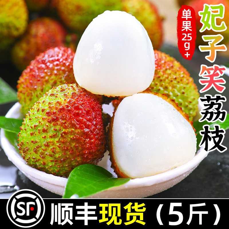 海南妃子笑荔枝5斤礼盒新鲜水果当季整箱包邮王白糖现摘婴荔枝肉