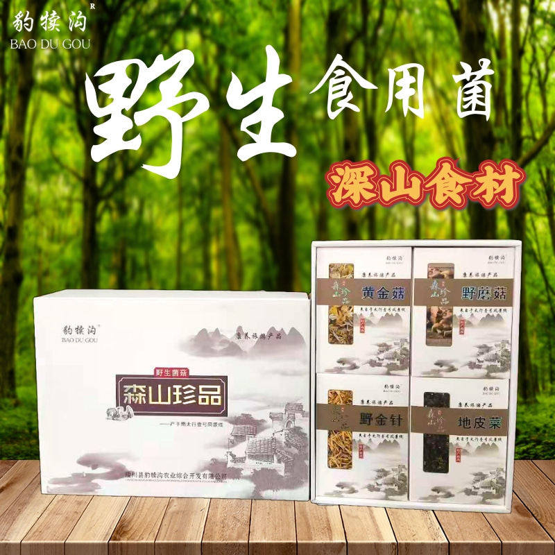 陵川豹犊沟森山珍品礼盒野蘑菇黄金菇野金针地皮菜山西晋城特产