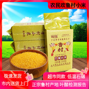 新米农民欢鲁村小米500g*4真空米砖高叶酸农家月子米山西晋城特产