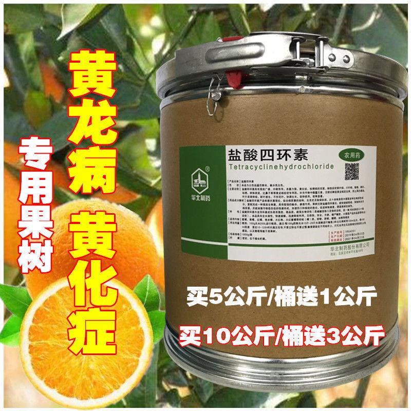 盐酸四环素农用黄龙病黄化症脐橙柚子柑橘果树专用叶子黄化症烂根