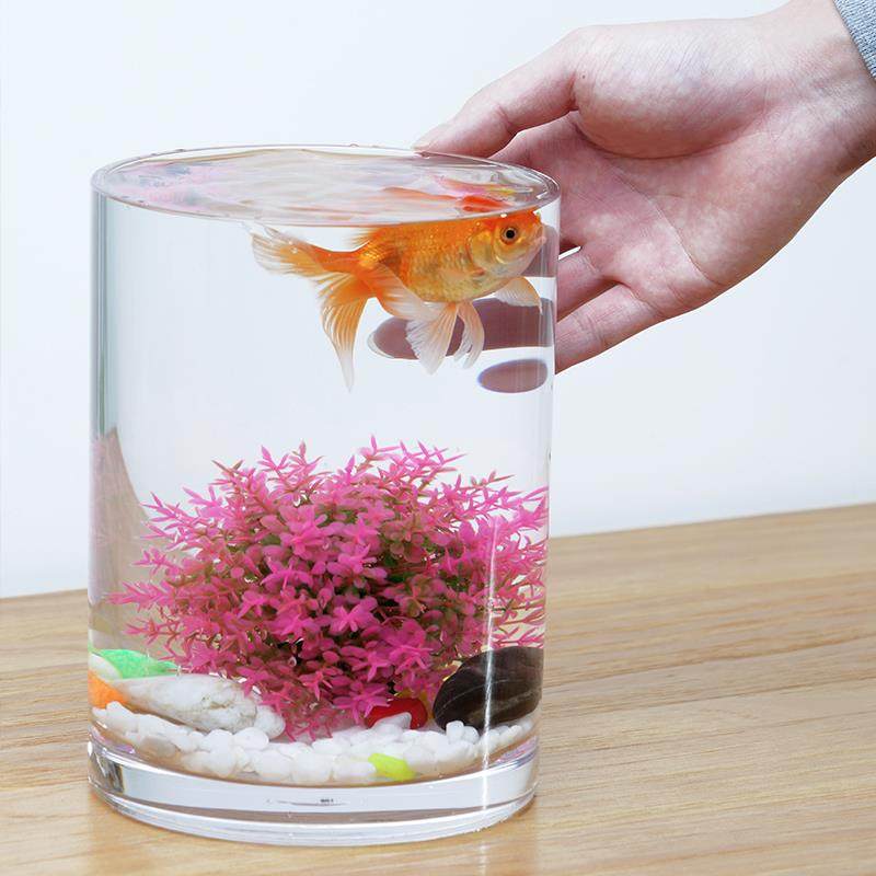 缸客鱼厅c小型生态造景防摔桌红面超白p无缝塑bpv料非玻璃迷你网