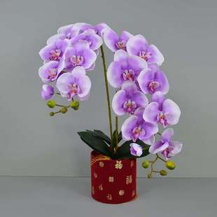 毛布9头蝴蝶兰仿真花蝴蝶兰盆景 中式家具卖场装饰公司会客室摆放