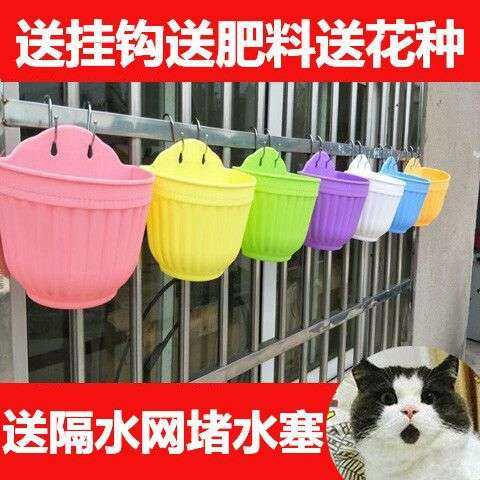 半圆形悬挂式墙壁花架吊兰花盆悬挂垂吊壁挂室内墙面墙上 装姗婷,家装灯饰光源,轨道灯,淘宝优惠券,粉丝福利购,淘宝优惠卷