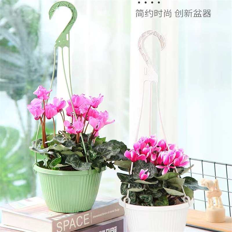 多肉盆垂吊塑料吊篮花盆吊兰盆悬挂壁挂式吊篮绿萝吊篮盆栽小吊篮