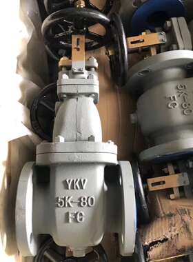 船用日标闸阀 JIS 5k 10K 船用铸铁 铸钢 黄铜 闸阀船用日标