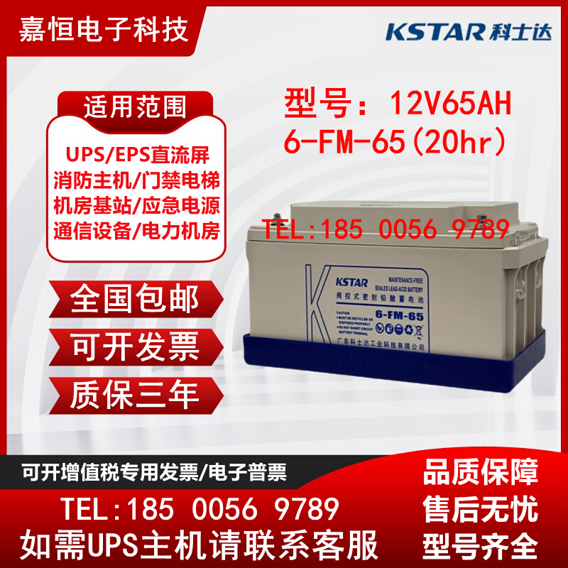 12V65AH铅酸免维护6-FM-65 UPS电源EPS直流屏用 金属材料及制品 金属加工件/五金加工件 原图主图