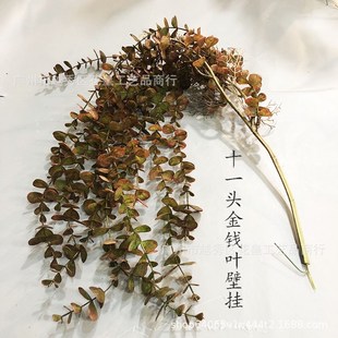 饰金钱叶吊藤塑胶假花绿植摄 仿真植物尤加利壁挂n婚庆路引家居装