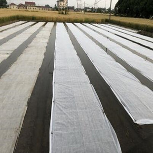 育秧无纺布水稻果树防霜冻防寒保温农用薄膜抗老化育苗布抗冻防寒