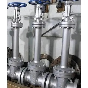 低温闸阀 DZ40Y 低温阀 锻钢闸阀阀门 低温加长杆闸阀整体锻造