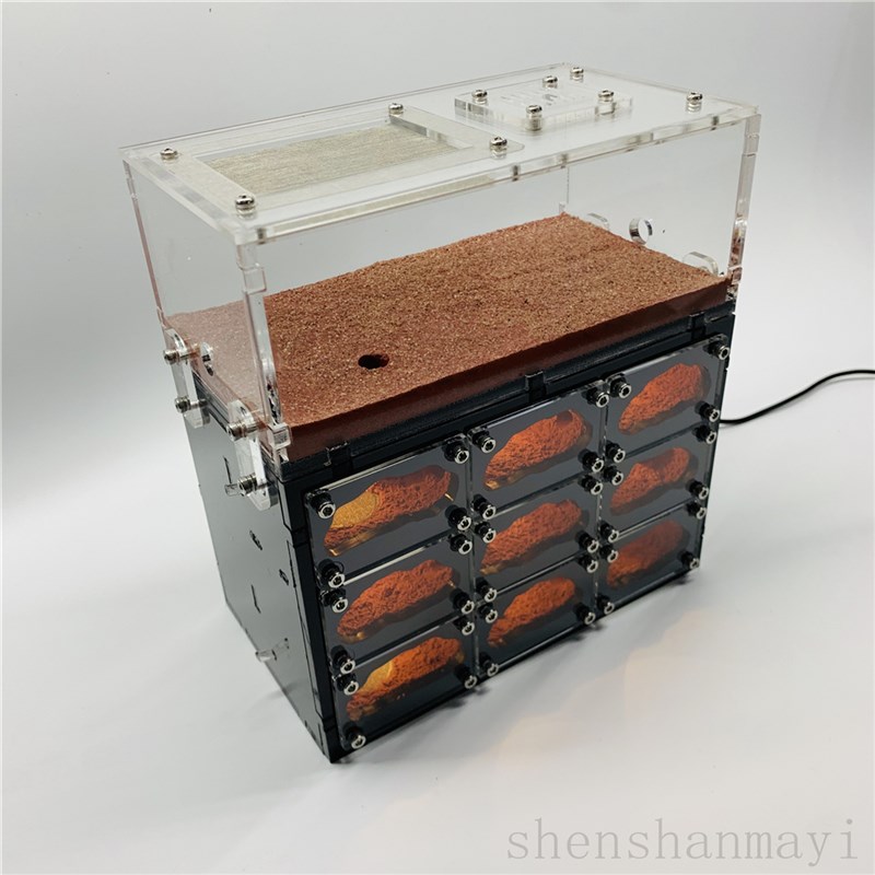 天空城D版 宠物蚂蚁工坊笼子繁活体蚁巢亚克力沙巢家园别墅宫殿