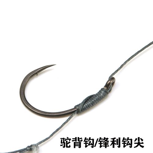 欧鲤钓组欧鲤钓线组套装扁梨形铅B坠抛竿鲤草鱼珠珠欧鲤反底钓线