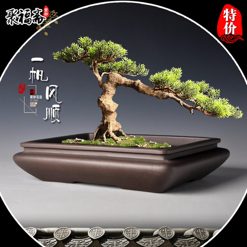 宜兴紫砂花盆 马槽盆q景盆假山造景盆小叶紫檀迎客松盆景花盆特价,鲜花速递/花卉仿真/绿植园艺,花盆,淘宝优惠券,粉丝福利购,淘宝优惠卷