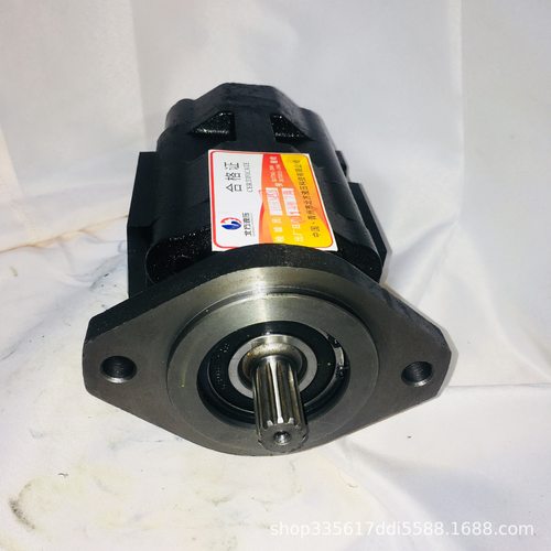 齿轮泵1PFG3-308/019L*20VRK 1PF2G2-40B/019RN20VHL