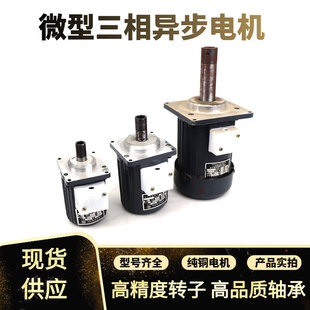 象山抱闸制动器微型电机YDT80 80W140W250W液压推动器电机