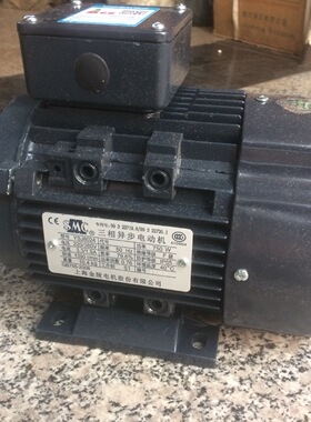 YCJ8024单相起动异步电动机/天/