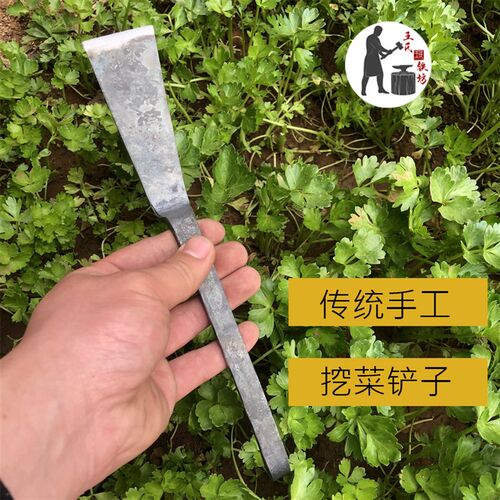 王氏作坊菜铲菜园花园种菜除草种花移苗挖野菜小铲子铁匠手工锻打