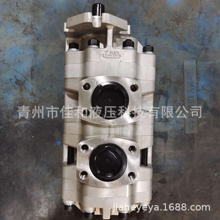 GPC4-32/25/25-B6F4齿轮泵    GPC4系列齿轮泵
