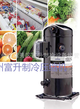 R404A冷媒压缩机-涡旋式低温制冷压缩机ZB220K4E-TWM-551