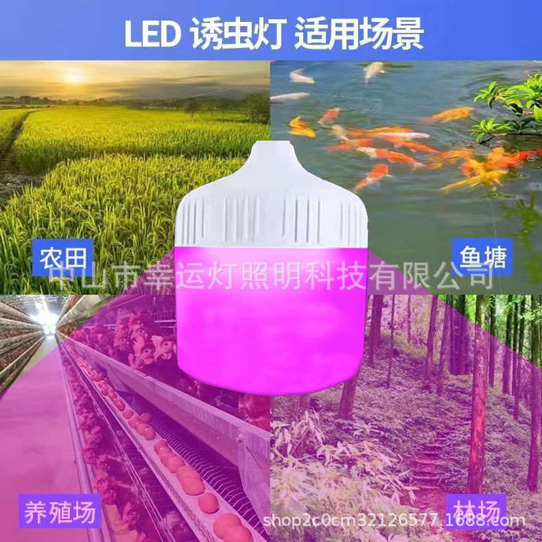 鱼塘蝼蛄诱虫灯太阳能养殖鸡场农场果园紫光led灯泡天黑自动亮灯