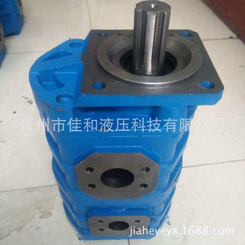 J3100/10-XF龙工工作泵60301000059