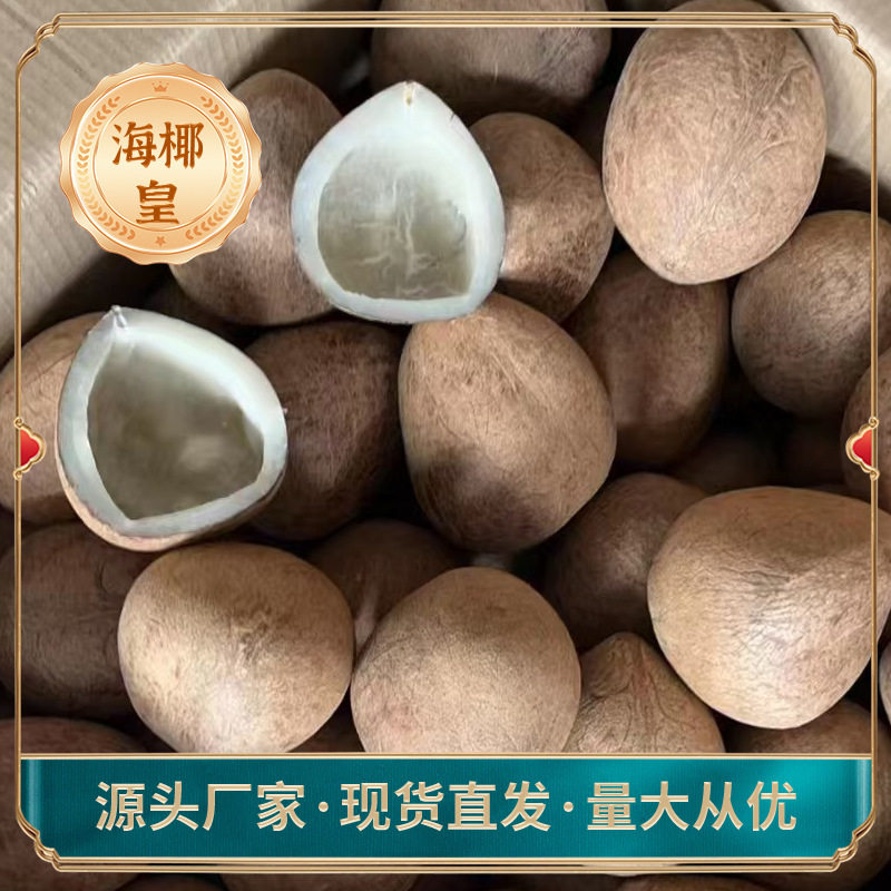 厂家批发海椰皇印度大椰子大海雞椰香味煲湯料原果大货现海南特产