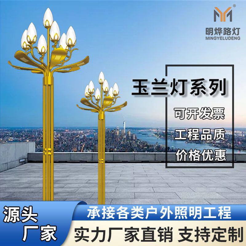 源头厂家8米10米led玉兰灯高亮度市政中华路灯广场大型景观灯